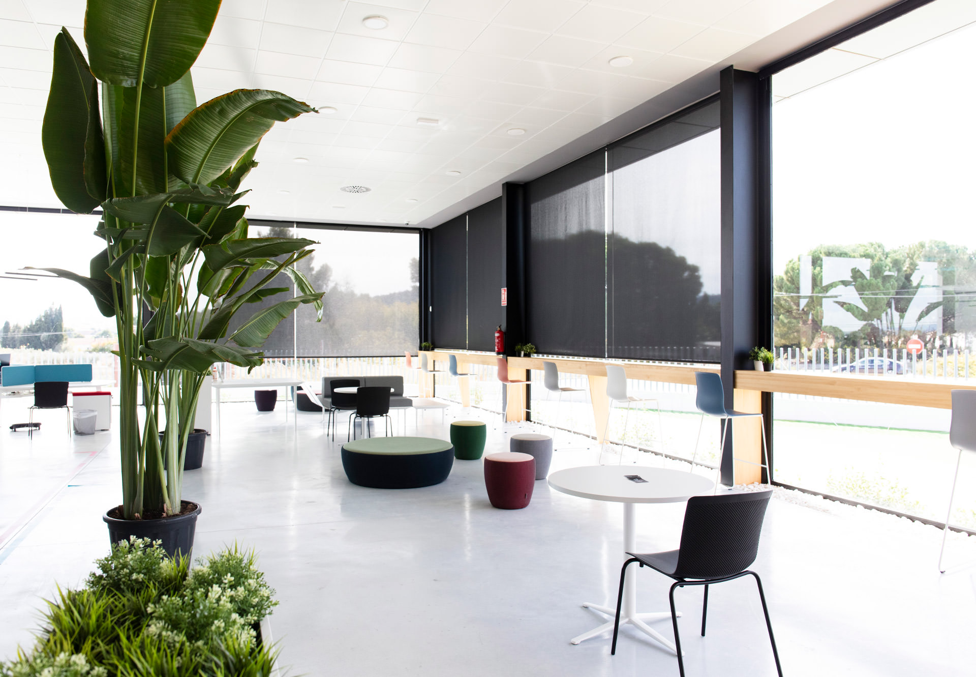 Espacio relax y coworking con vistas al exterior en el diseño de oficinas.