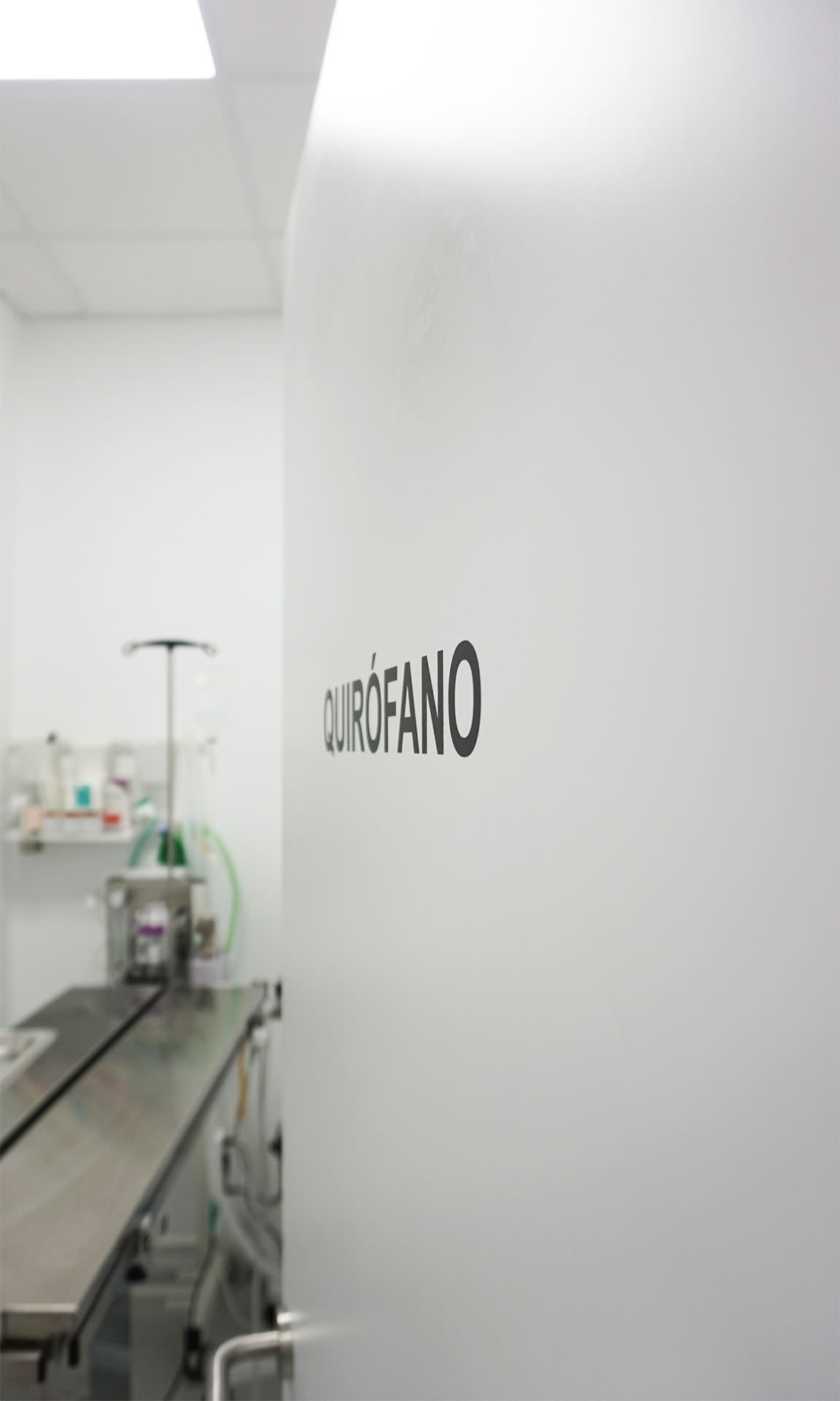 Entrada quirófano veterinaria