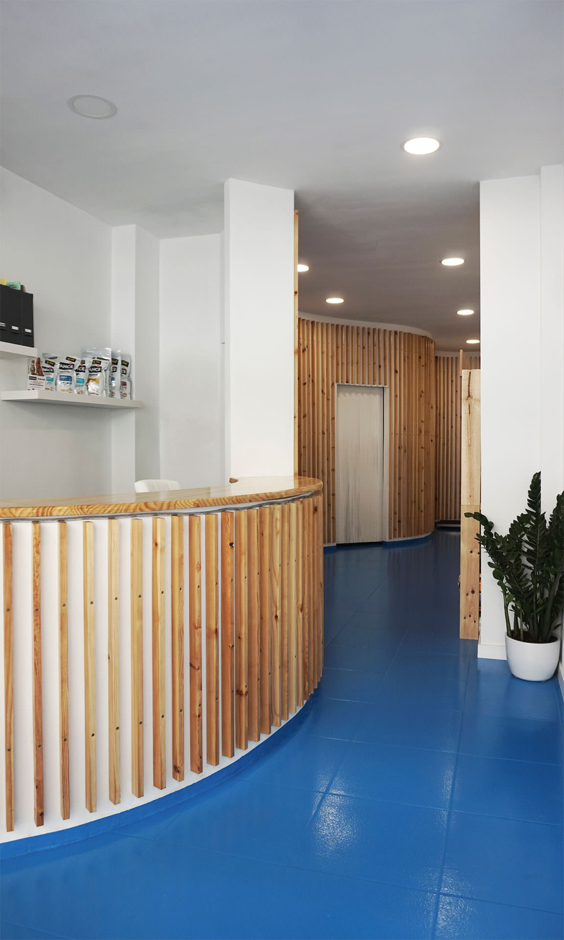 Entrada y recepción semicircular con suelos azules.